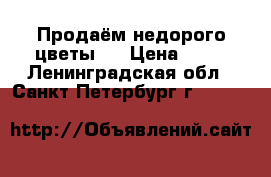 Продаём недорого цветы:  › Цена ­ 50 - Ленинградская обл., Санкт-Петербург г.  »    